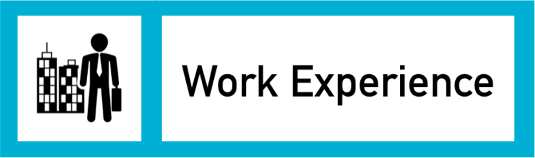 Work Experience Nav Button